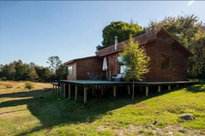 Villarrica Cabin 2BR with Fireplace and terrace
